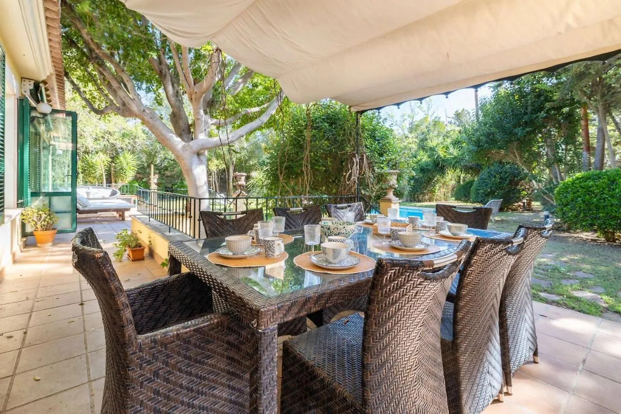 Finca Santa Maria Near Palma 산타 마리아 델 카미 스페인